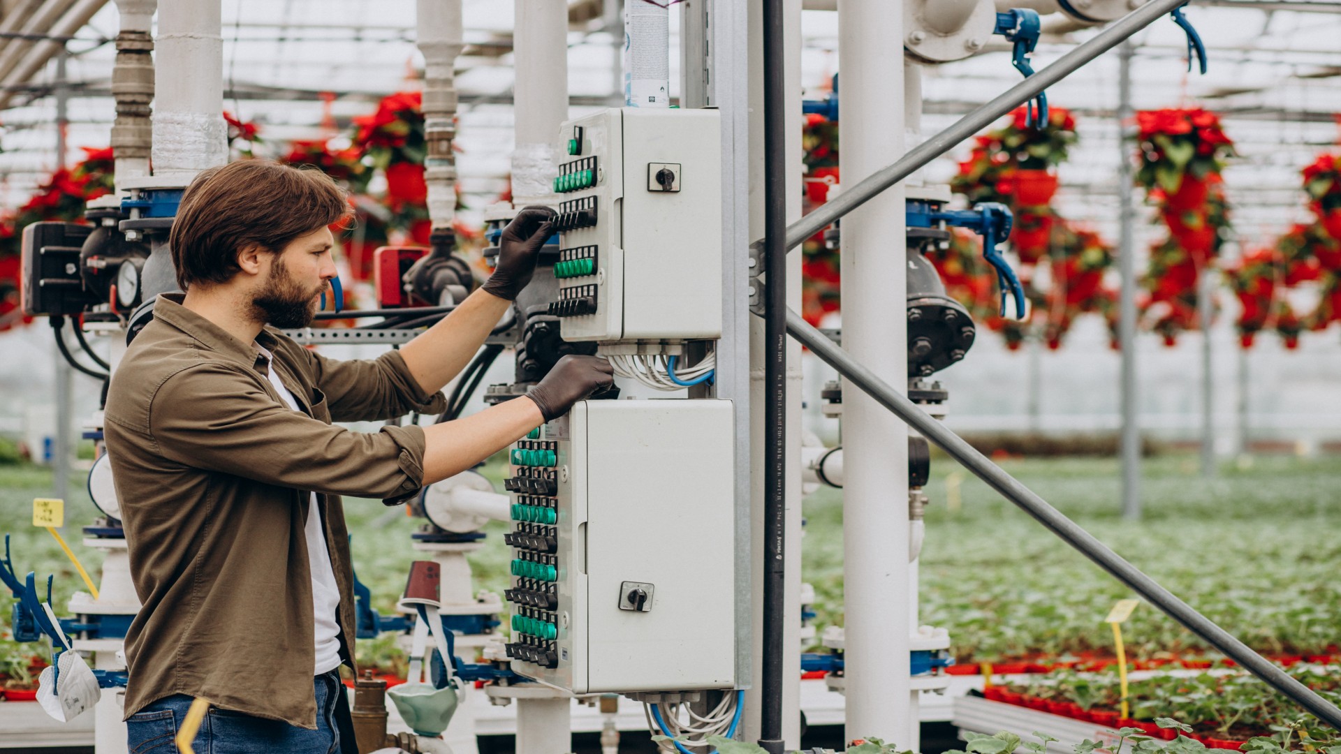 Power & Transformer Maintenance
